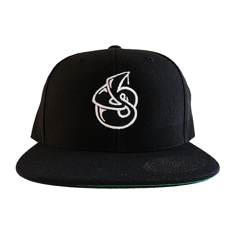 Jivin Scientists "Logo" Snapback