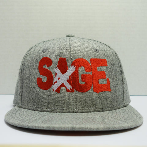 Sage Francis "A Healthy Distrust" Logo HEATHER GREY Snapback