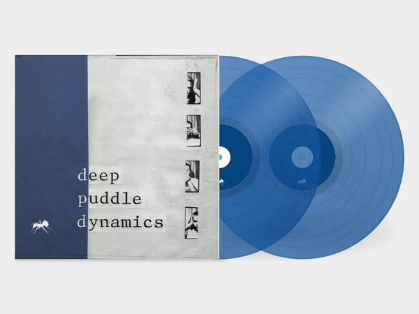 中古 deep puddle dynamics - the taste of Deep Puddle Dynamics - The Taste of Rain Why Kneel? 2xLP
