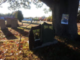 SFR "Til The Grave Takes Us" OLIVE GREEN Zip Hoodie + MIXTAPE MP3 Download