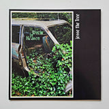 Jesse The Tree - Worm In Heaven VINYL LP