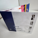 Deep Puddle Dynamics - The Taste of Rain... Why Kneel? 2xLP VINYL (2026 Edition)