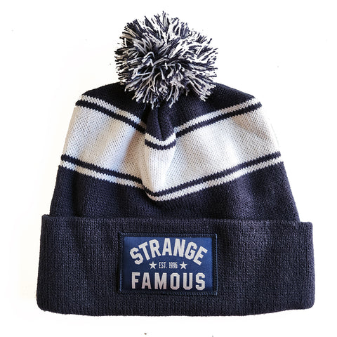 SFR 'Est. 1996' Blue/White Stripe Knit Hat